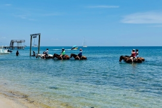 Roatan Horseback Riding – Beach, Jungle & Resort Pass